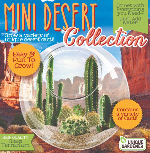 Mini Desert Collection