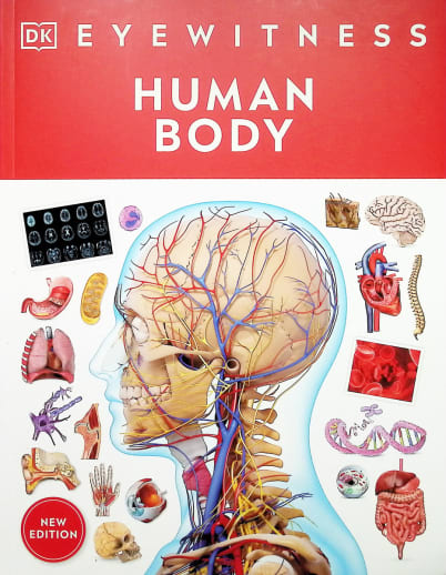 Human Body (Eyewitness Book)