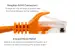 Cat6 Ethernet Patch Cable, Snagless, UTP, 1 ft, Orange