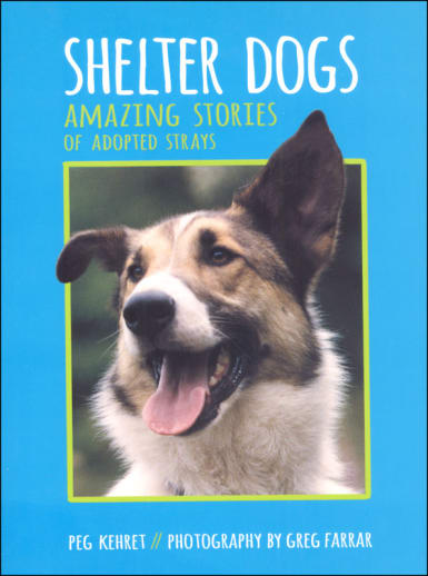 Shelter Dogs: Amazing Stories of Adopted Strays