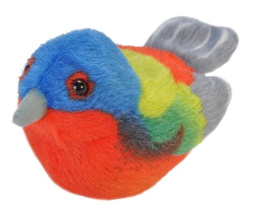 Audubon Bird: Painted Bunting With Real Bird Call