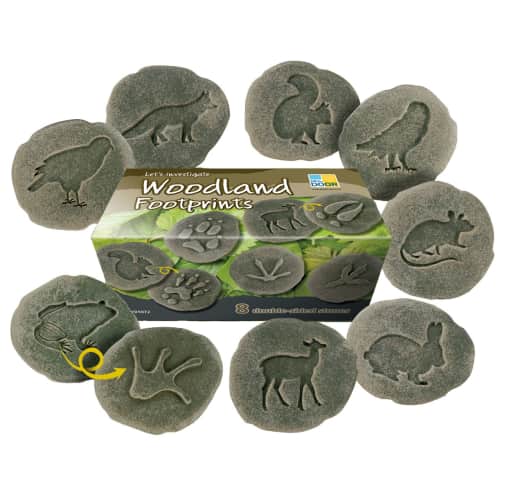 Let's Investigate - Woodland Footprints
