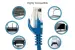 Cat6 Ethernet Patch Cable, Snagless, UTP, 3 ft, Blue