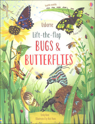 Bugs & Butterflies (Usborne Lift the Flap)