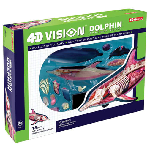 4D Vision Dolphin Anatomy Model