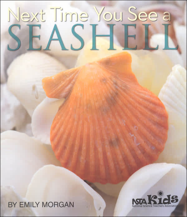 Next Time You See a Seashell