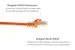 Cat6 Shielded Ethernet Patch Cable, Easyboot, STP, 3 ft, Orange