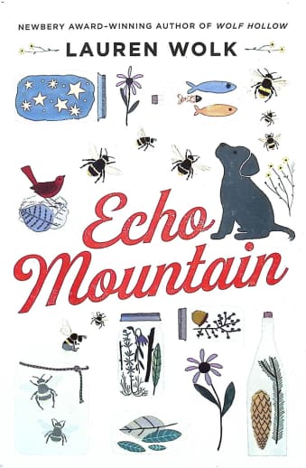 Echo Mountain by Lauren Wolk
