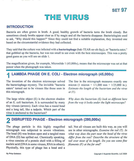 Virus Microslide Lesson Set