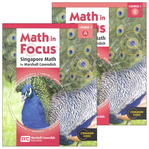 Math in Focus: Singapore Math Student Edition Set Course 1