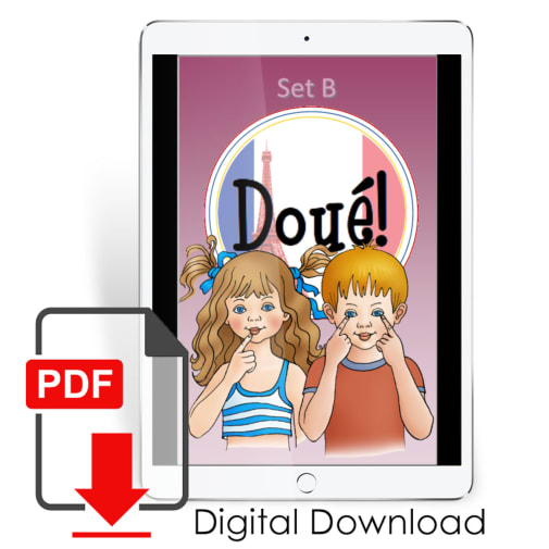 Brillliant! French Level 1 Flashcards Set B PDF Download