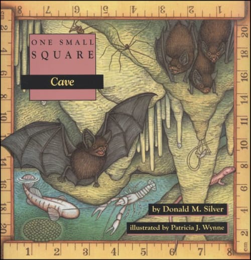 One Small Square: Cave