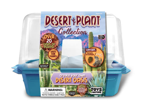 Desert Plant Collection (Mini Worlds Terrarium)