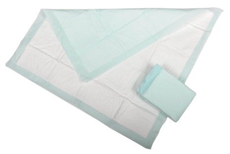 Economy Underpad, 17 x 23 Inch MK 461100