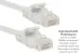 Cat6 Ethernet Patch Cable, Snagless, UTP, 0.5 ft, White