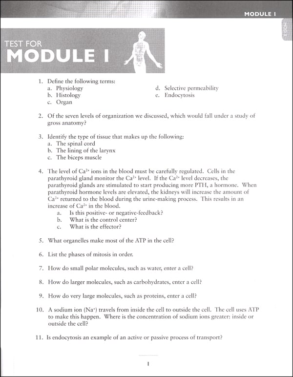 Advanced Biology: Human Body Test Packet 2nd Edition