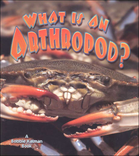 What is an Arthropod? (Science of Living Things)