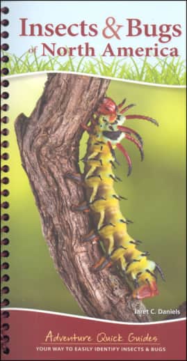 Insects & Bugs of North America