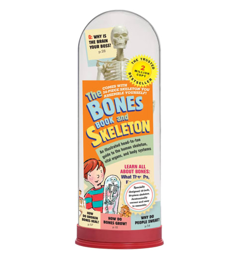 Bones Book & Skeleton