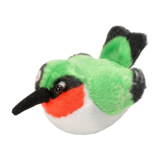 Audubon Bird: Ruby-throated Hummingbird With Real Bird Call