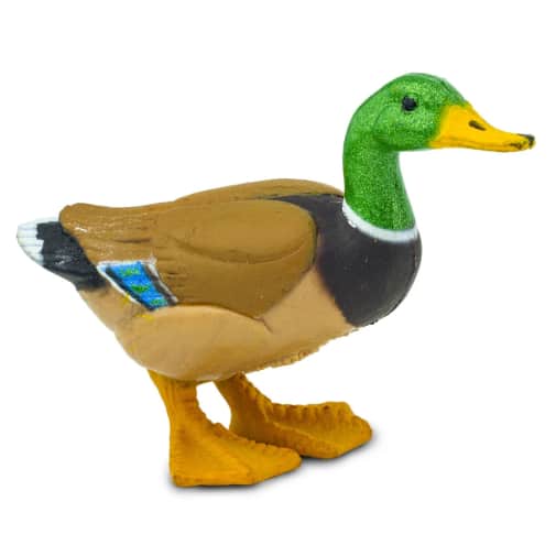 Safari Duck (Farm Collection)