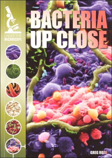 Bacteria Up Close (Under the Microscope)
