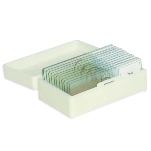 Devotional Biology Prepared Slide Set - 16 count