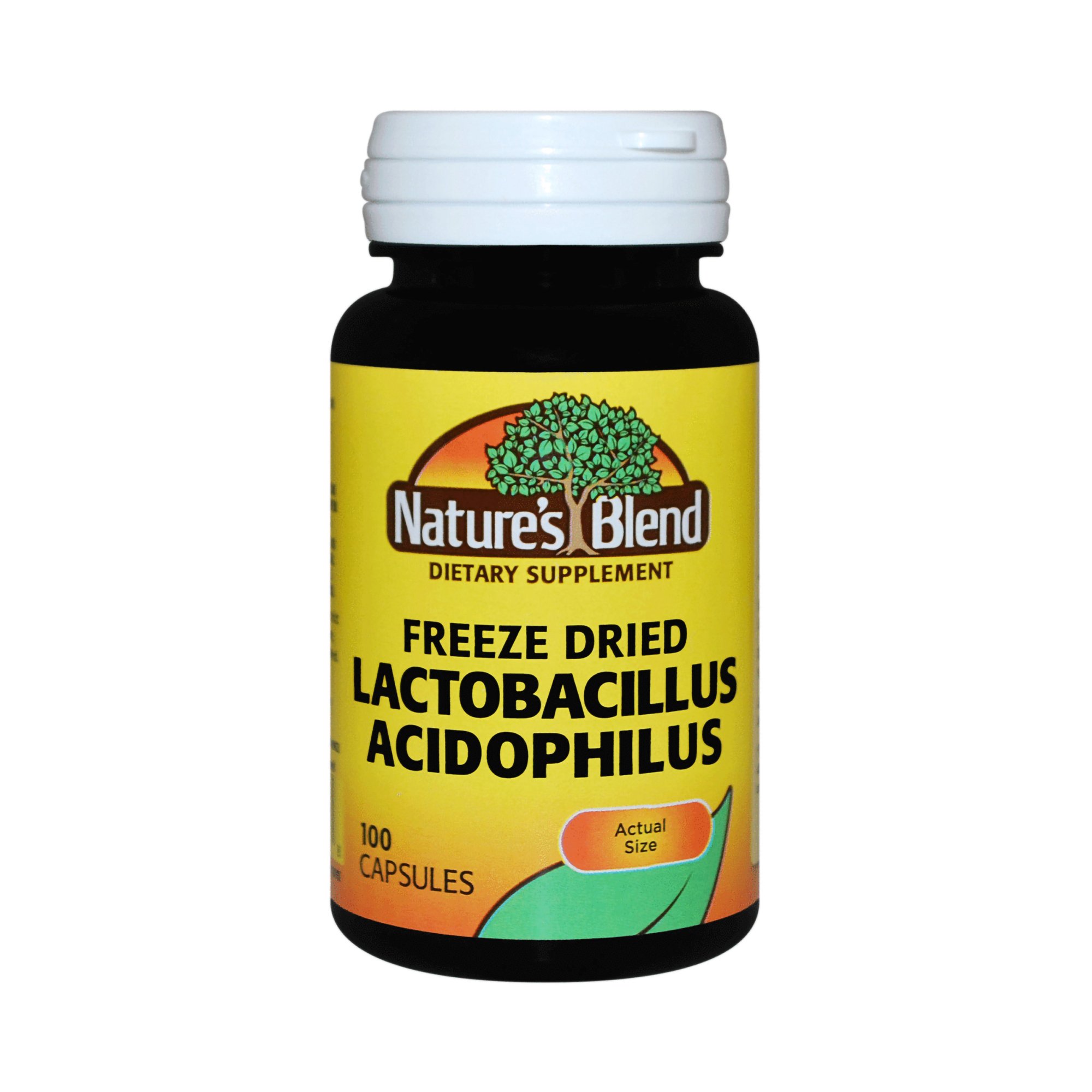 Nature's Blend Lactobacillus Acidophilus Probiotic Dietary Supplement MK 784070
