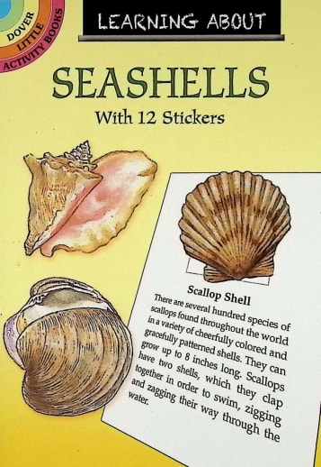 Learning About Shells