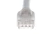 Cat6A Shielded Ethernet Patch Cable, Half-moon Boot, 2 ft, White
