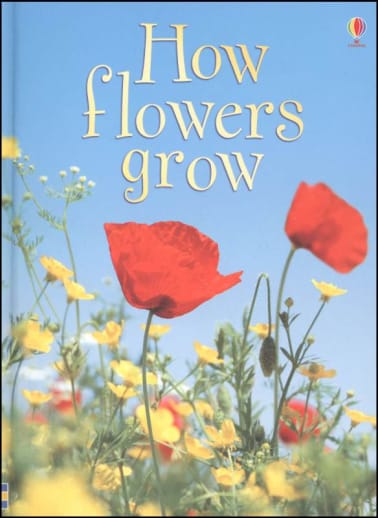 How Flowers Grow (Usborne Beginners)