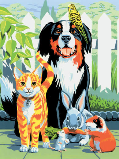Painting By Numbers - Family Pets (Junior Small)
