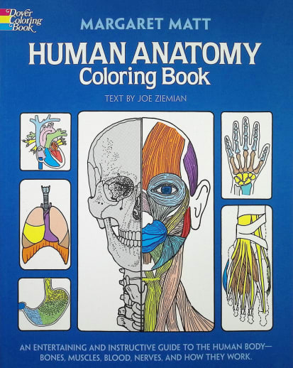 Human Anatomy Coloring Book
