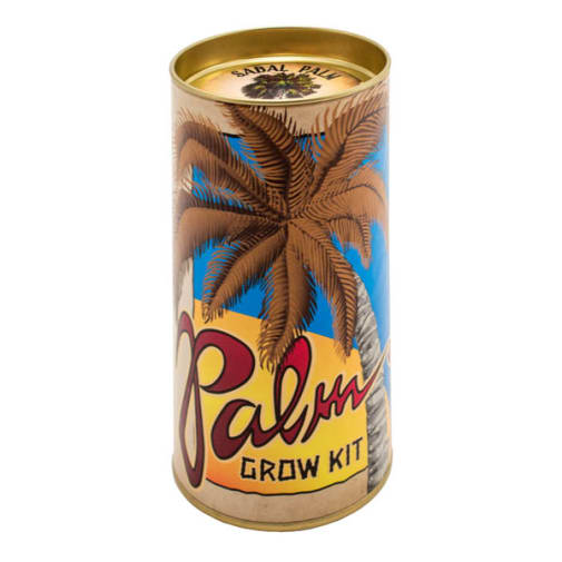 Palm Tree Grow-A-Tree Kit