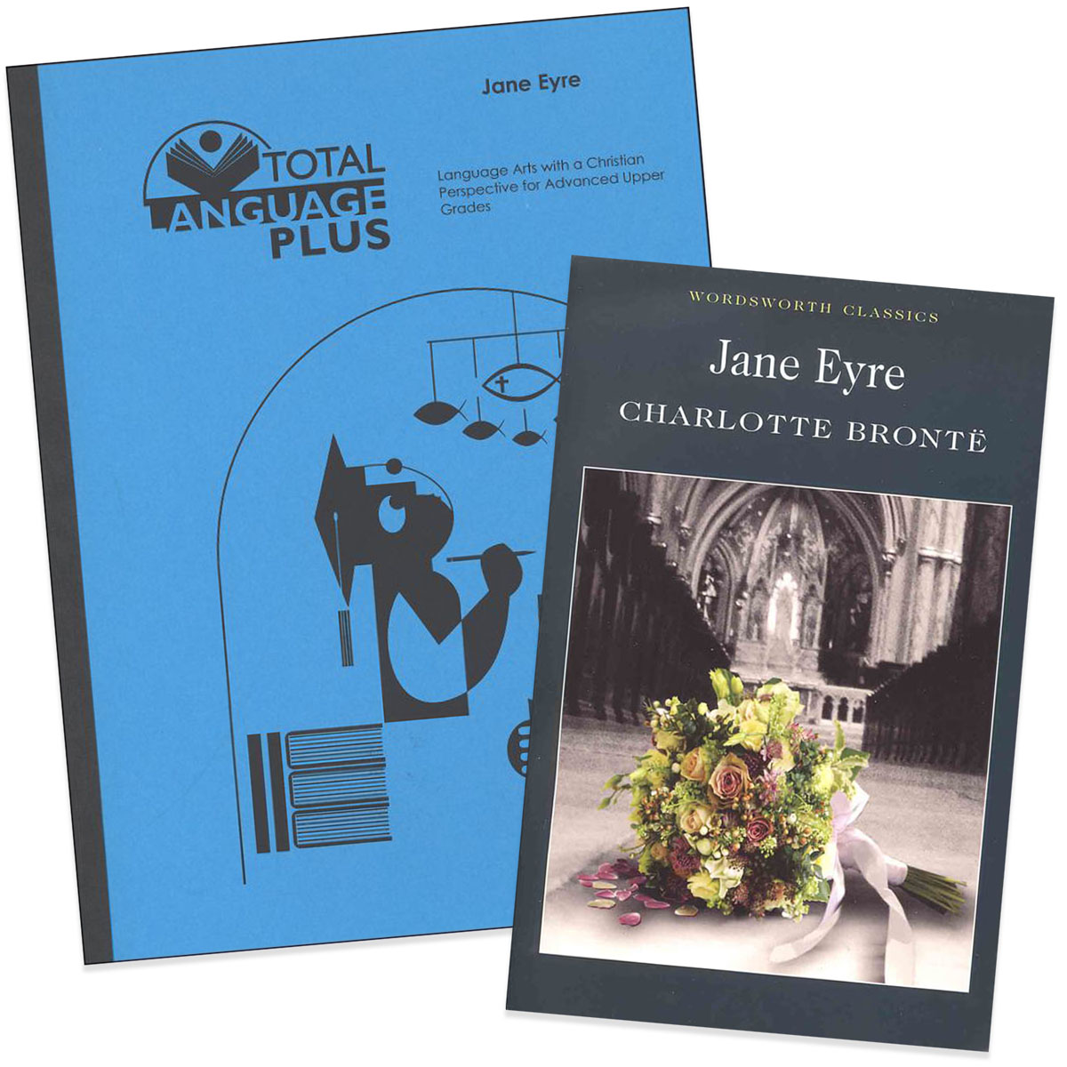 Jane Eyre Guide and Novel