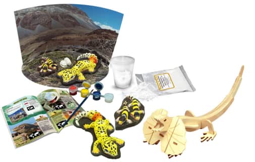 Amazing and Bizarre Lizards of the World (Wild Environmental Science Kit)