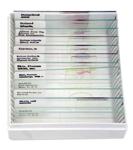 BJU Press Life Science Slide Set