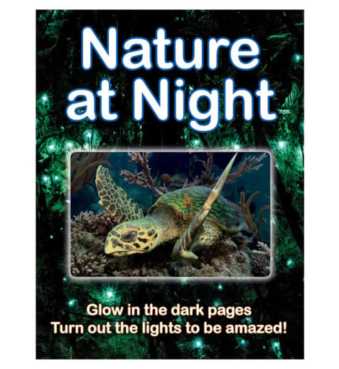 Nature at Night