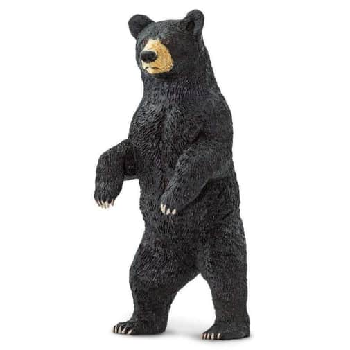 Safari Black Bear (North American Wildlife Collection)