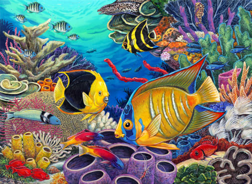 Painting By Numbers - Caribbean Coral Reef (Jr Large)