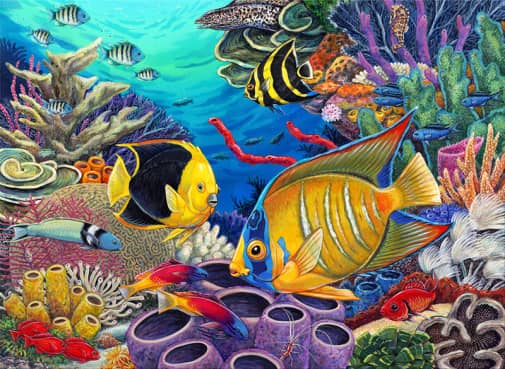 Painting By Numbers - Caribbean Coral Reef (Jr Large)