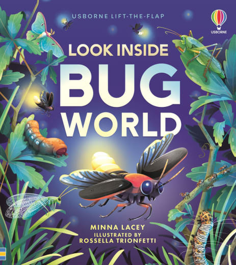 Look Inside Bug World (Usborne)
