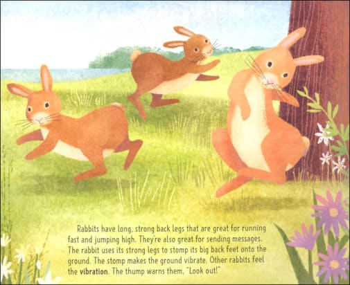why do rabbits vibrate Rabbit Shaking and Trembling: What are the Reasons? main image 1