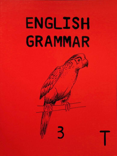 English Grammar 3 Teacher