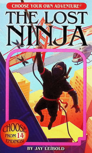 Lost Ninja (Choose Your Own Adventure)