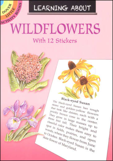 Learning About Wildflowers