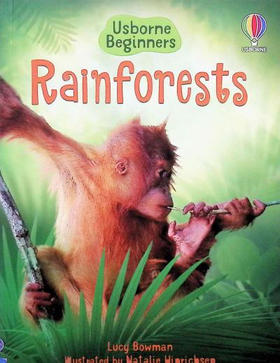 Rainforests (Usborne Beginners)