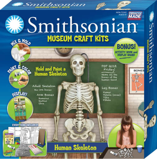 Smithsonian Museum Craft Kit - Human Skeleton