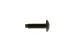 Kendall Howard Set of 100 Standard 10-32 Rack Screws with Washer