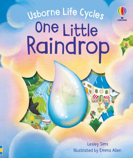 One Little Raindrop (Usborne Life Cycles)